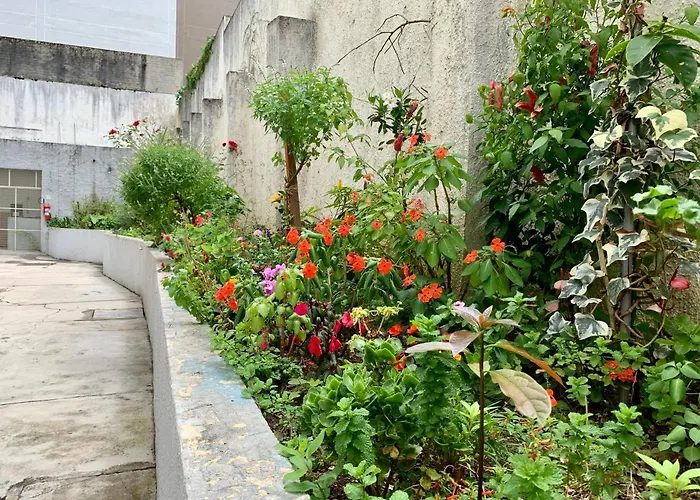 101- Lindo Apartamento Amplo E Decorado, 2 Quartos, Sala, Cozinha Completa, Mobiliario Moderno, Lavanderia , Excelente Localizacao No Bairro Bigorrilho